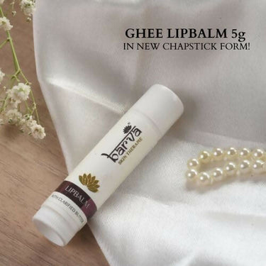 https://cdn.shopify.com/s/files/1/1857/6931/files/LgDIC6M0xv.jpg?v=1733748269